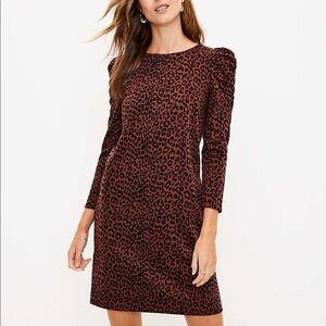 Loft Leopard Print Long Sleeve Dress